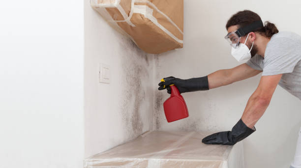 Professional Crawl Space Mold Removal technician working in Victoria, MN